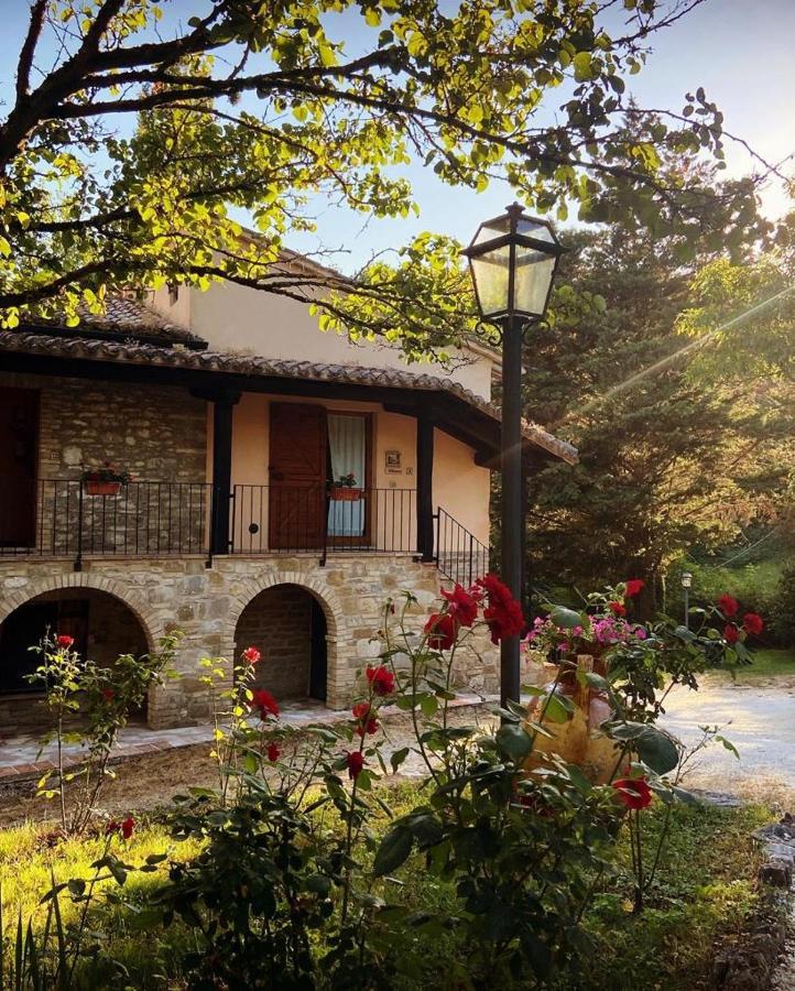 Agriturismo Le Querce Di Assisi Villa Ngoại thất bức ảnh